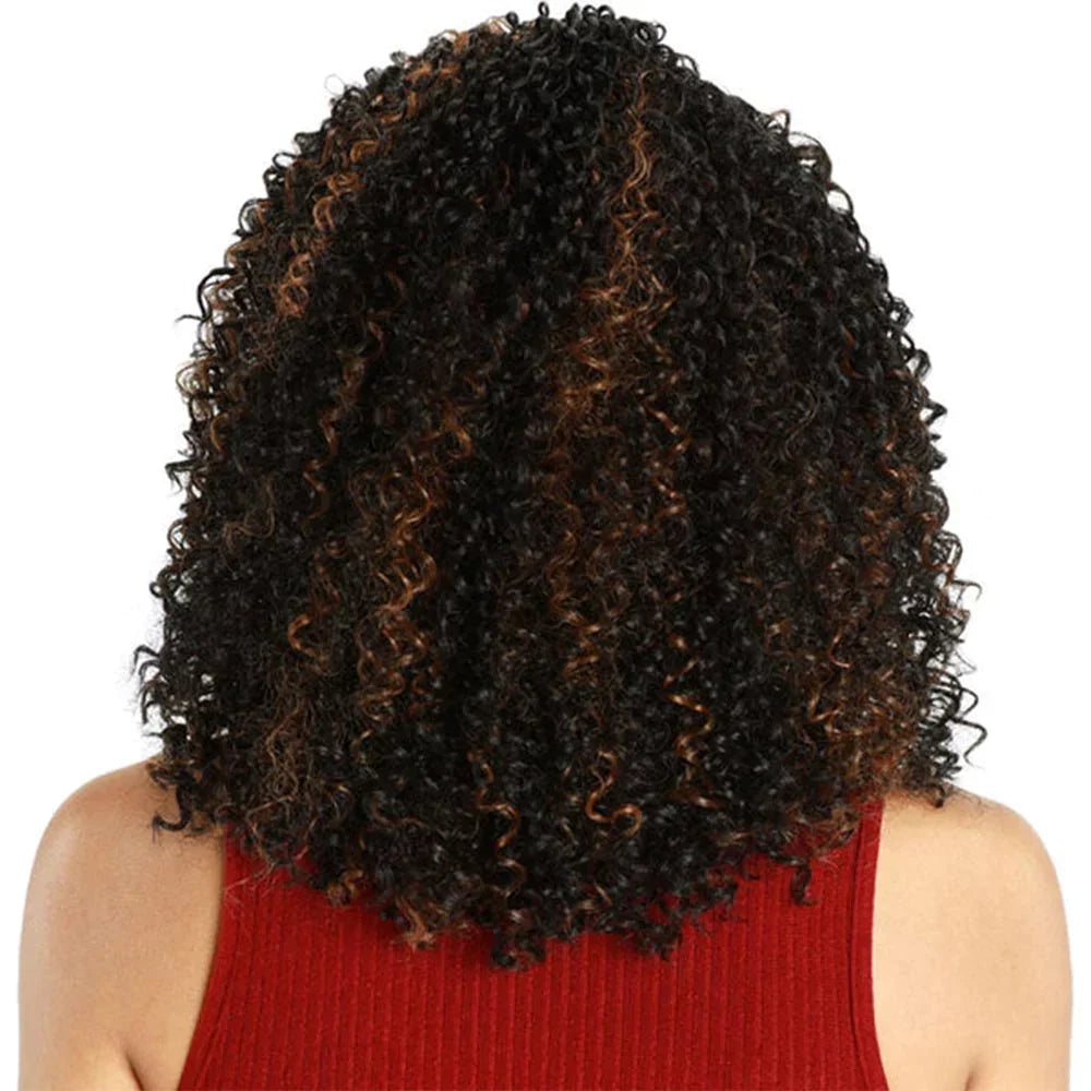 Zury Sis Fit Cap Synthetic Hair HD Lace Front Wig - LF-Fit Amara