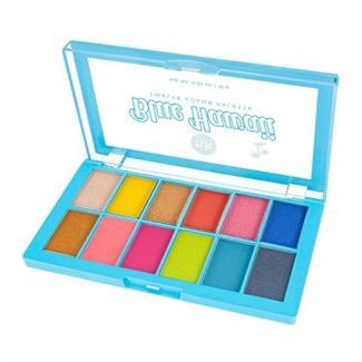  Nicka K New York Professional TWELVE COLOR PALETTE