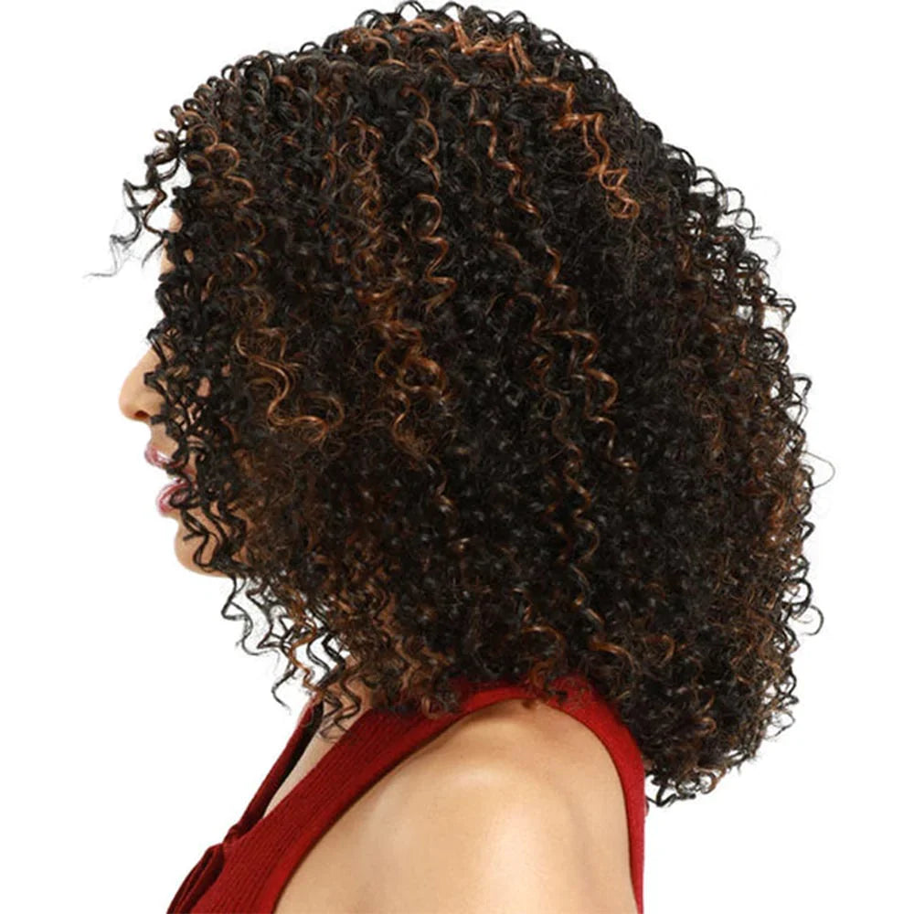  Zury Sis Fit Cap Synthetic Hair HD Lace Front Wig - LF-Fit Amara